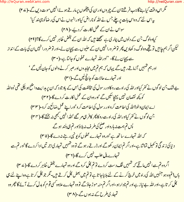 Page 3 of Parah 47